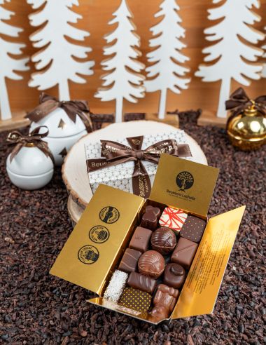 Coffret Cadeau de Chocolats de Noël d'un Assortiment de Pralinés et Ganaches
